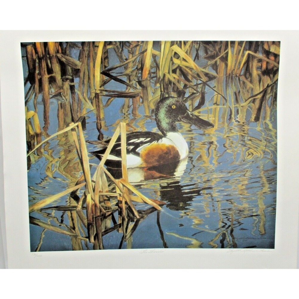 Elizabeth Matthews Lemon "the Shoveler" duck signed art print -limited edition
